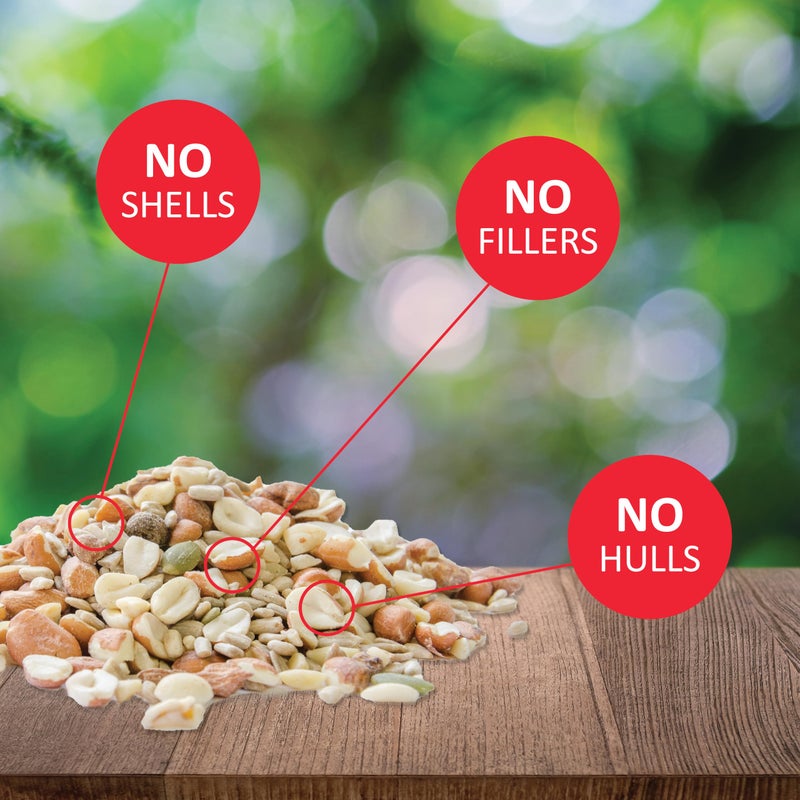 Lyric Delite Wild Bird Seed for Outside Feeders - No Waste Bird Food, Nuts & Seeds Mix, Attracts Buntings, Chickadees & Finches, 10 lb (Pack of 2-5 lb Bags) - Image 2